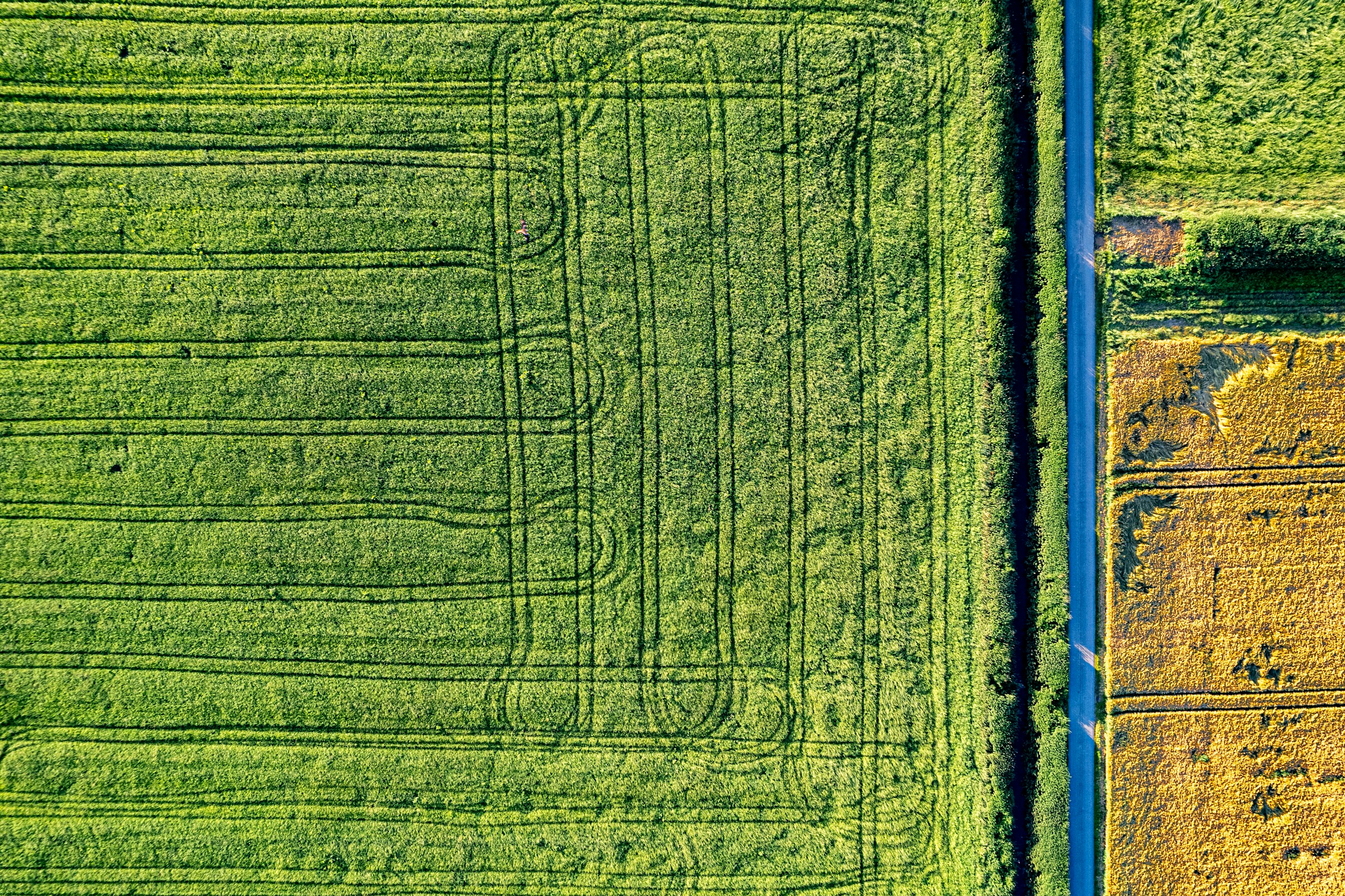 Aerial agricultural parcels used as an illustrative North Valley Farm map